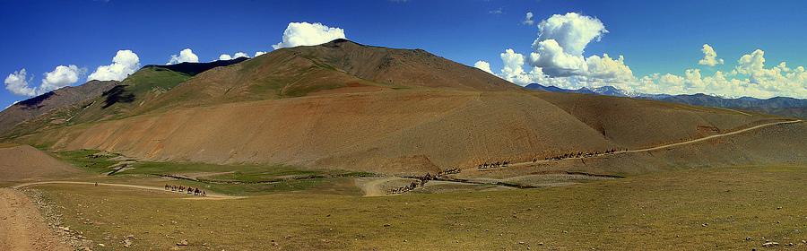 Kuchi_caruca_Badakhshan.jpg (50020 bytes)